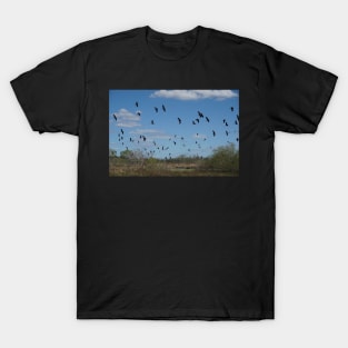 Birds in Flight T-Shirt